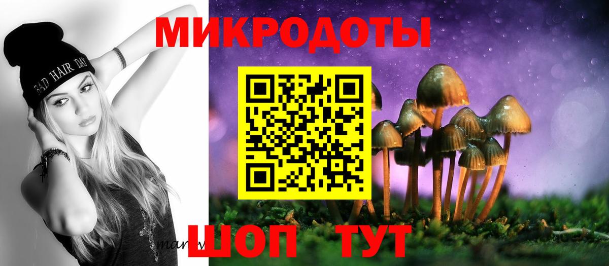 Галлюциногенные грибы Psilocybine cubensis  Вход с VPN  хочу   Нерюнгри 